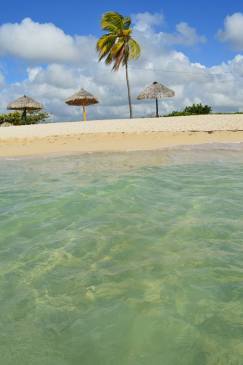 11214219_10153785290499319_1991184857605205663_n