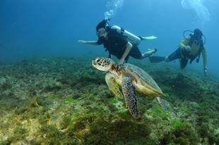 13494998_10154355111814319_4571900347858896589_n