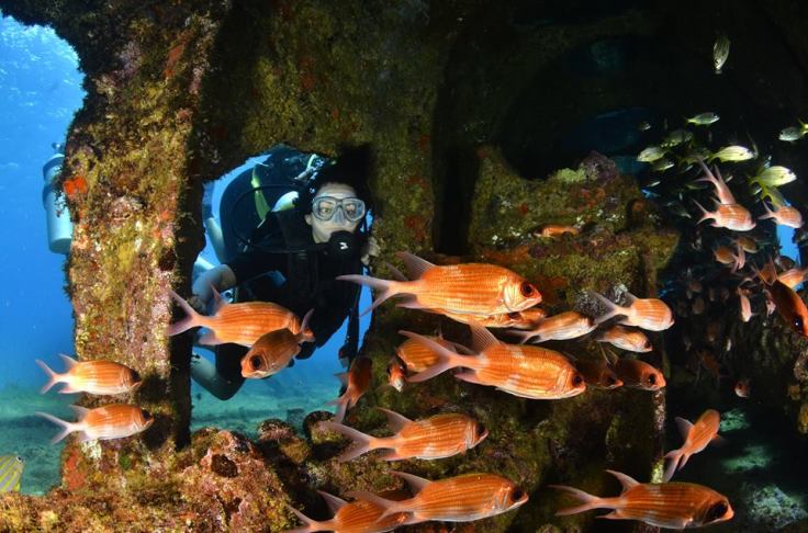 13510909_10154355116804319_3717918297097807768_n