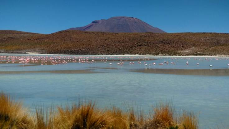 Laguna Bolivia